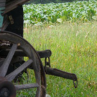 Prize winning photo-Struggle of a Bygone Era